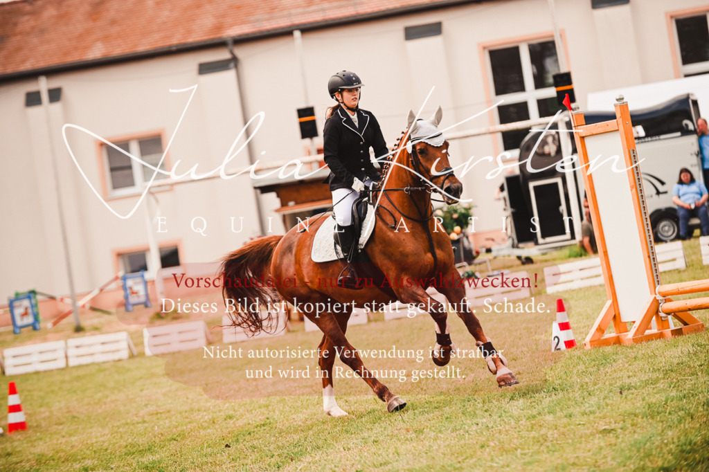 DSC_6860 | Pferde- und Turnierfotografie in Westsachsen. Pferdeportraits, Auftragszeichnungen und intuitive Kunst.