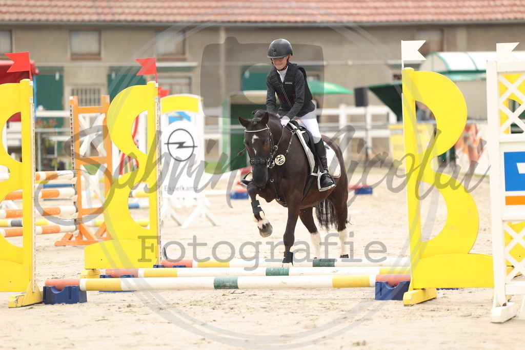 994A8379 | sabrinanicolaifotografie - Realisiert mit Pictrs.com