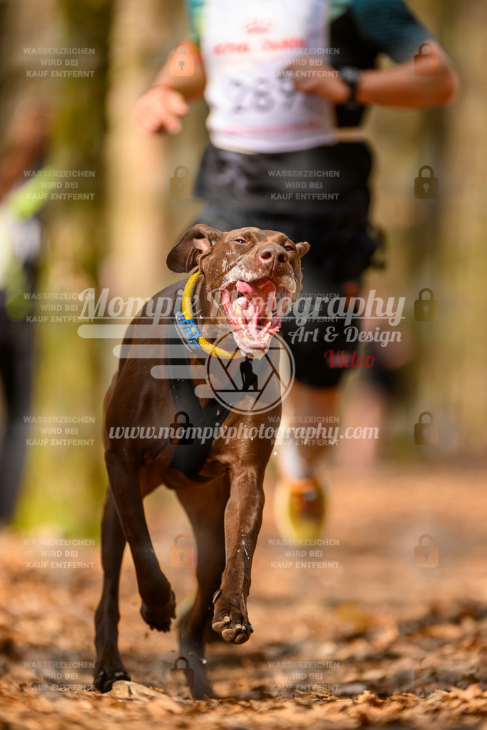MompixPhotography_Habay2025_SA_CCC-119 | PayLife