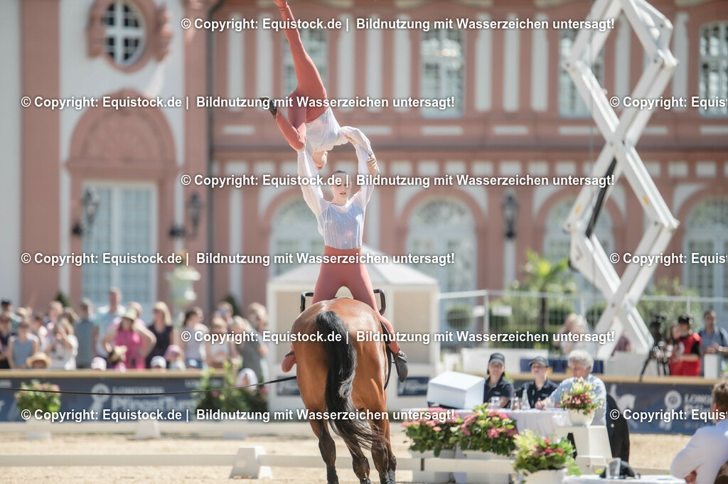 20230528_Voltigieren_NASPA_0388 | equistock