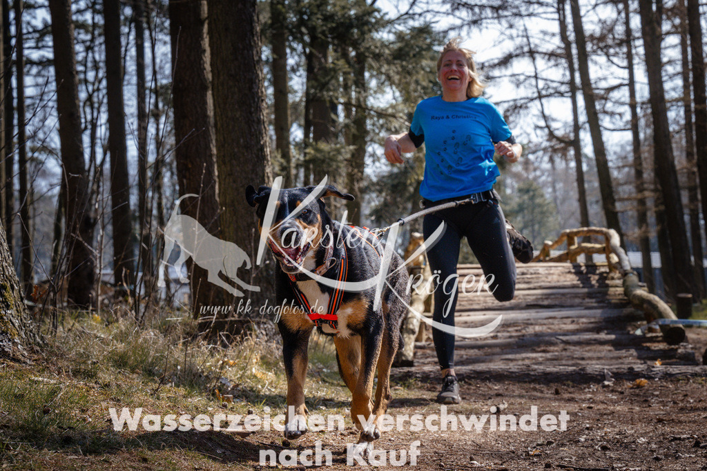1334_ZZ95648 | kk-dogfotos