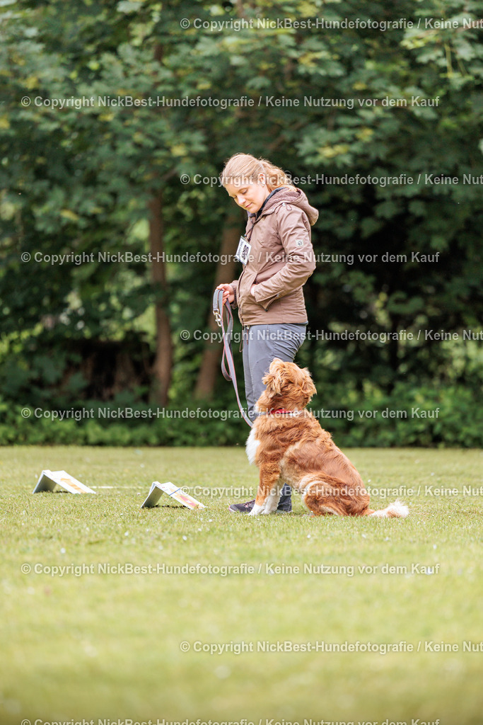 RO-Blumenthal-2026-Nickbest-Hundefotografie-3387 | Dein Hund! Dein Moment! Deine Erinnerungen! Hundefotografie in Bremen Blumenthal. Ich fange die besonderen Momente deines Vierbeiners ein – ob Indoor mit Blitzanlage oder in der freien Natur. Sicher dir dein Moment und dein Termin für eure Erinnerungen.
