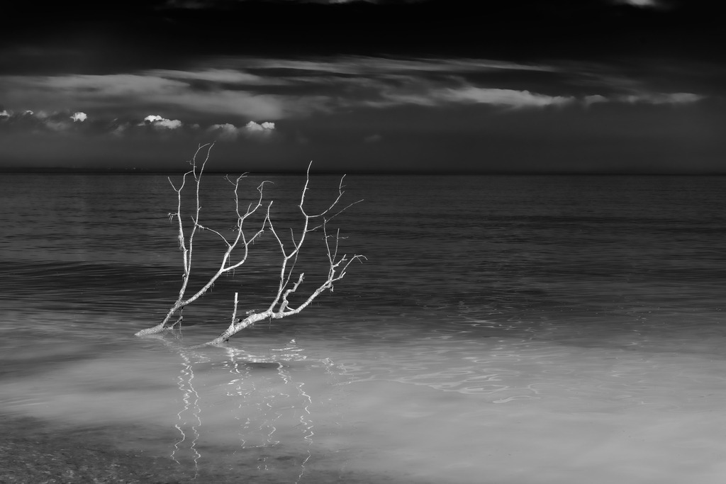 2025_04_16_TRAVEMUENDE_MCP8026 sw | Hochwertig gedruckte Fotografien für die Wand, als Kalender und zum Verschenken. Hamburg & Norddeutschland und überall wo ich mit der Kamera unterwegs war.