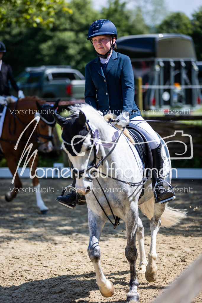 Donop24-RWB-069 | MomenTaufnahmen Pferdesportfotos