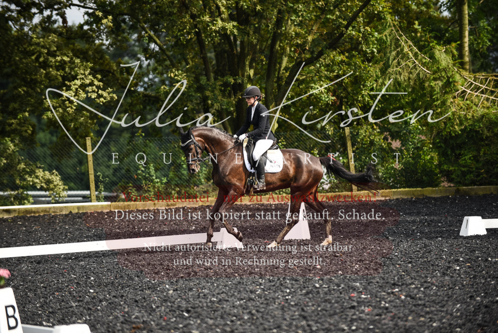 DSC_3018 | Pferde- und Turnierfotografie in Westsachsen. Pferdeportraits, Auftragszeichnungen und intuitive Kunst.