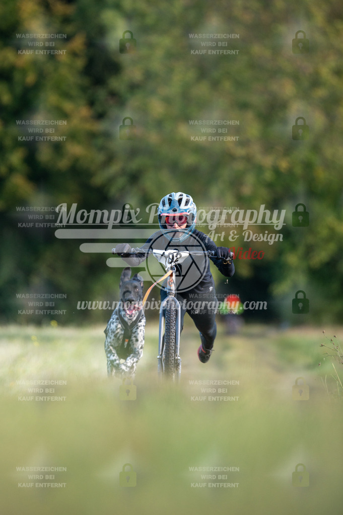 CDLBDB_15_10_2023_Dimanche-255 | PayLife