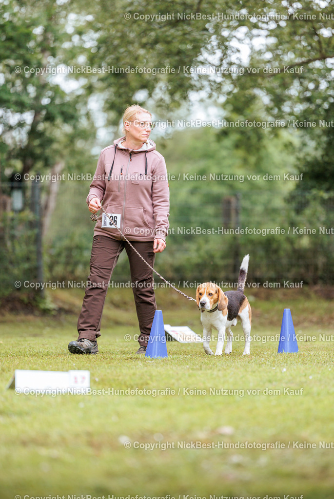 RO-Blumenthal-2026-Nickbest-Hundefotografie-4873 | Dein Hund! Dein Moment! Deine Erinnerungen! Hundefotografie in Bremen Blumenthal. Ich fange die besonderen Momente deines Vierbeiners ein – ob Indoor mit Blitzanlage oder in der freien Natur. Sicher dir dein Moment und dein Termin für eure Erinnerungen.
