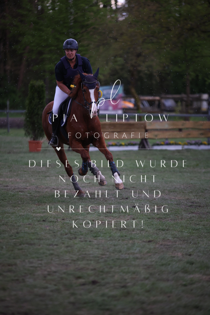 IMGT2153 | pl-fotografie