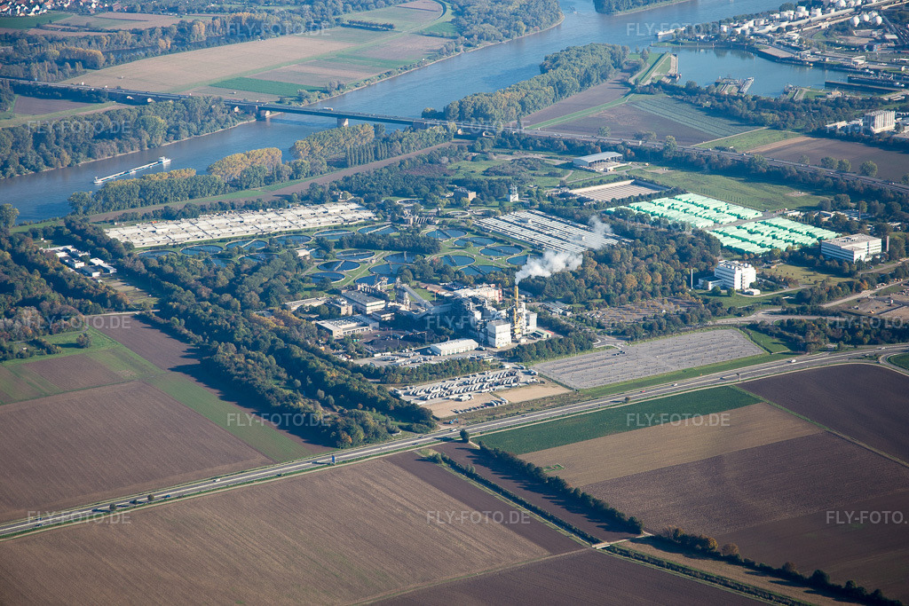 Luftbild: BASF Kläranlage im Ortsteil Mörsch in Frankenthal im Bundesland Rheinland-Pfalz in Deutschland. Foto: IMG_074866.jpg vom 18.10.2014 durch Werner Riehm/FLY-FOTO.de