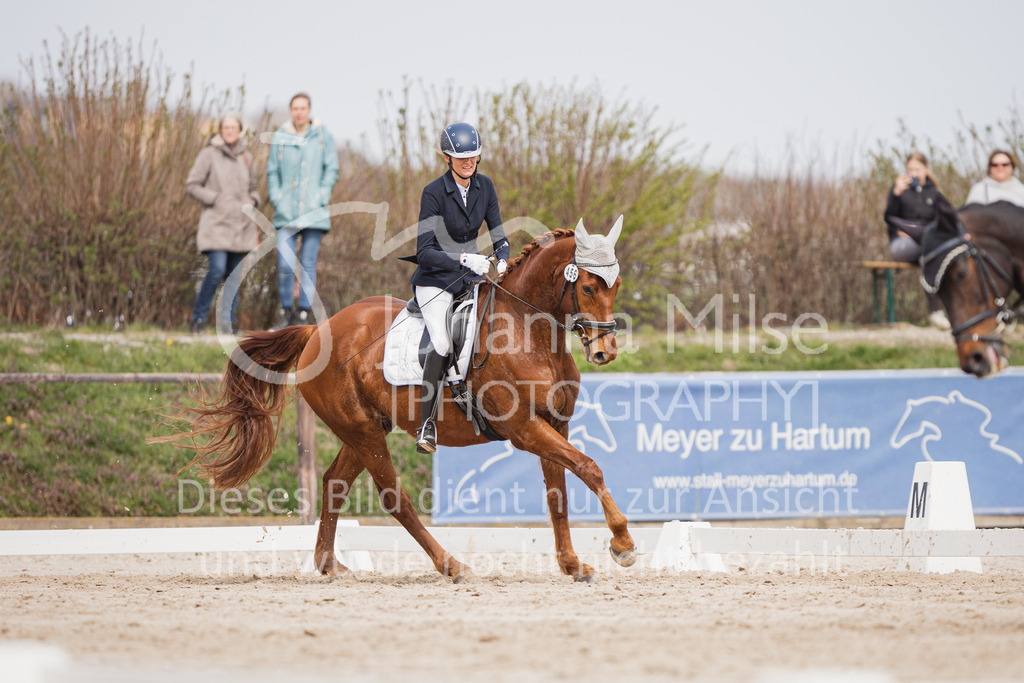 230410_Frühlingsfest_A-Dressur-450 | Deine schönsten Turniermomente als professionelle Fotos! Entdecke hochwertige Pferdesport-Fotografie im Online-Shop. Jetzt Fotos finden & bestellen!