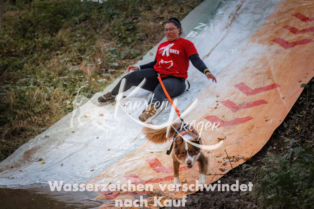 0809_ZZ90134 | kk-dogfotos