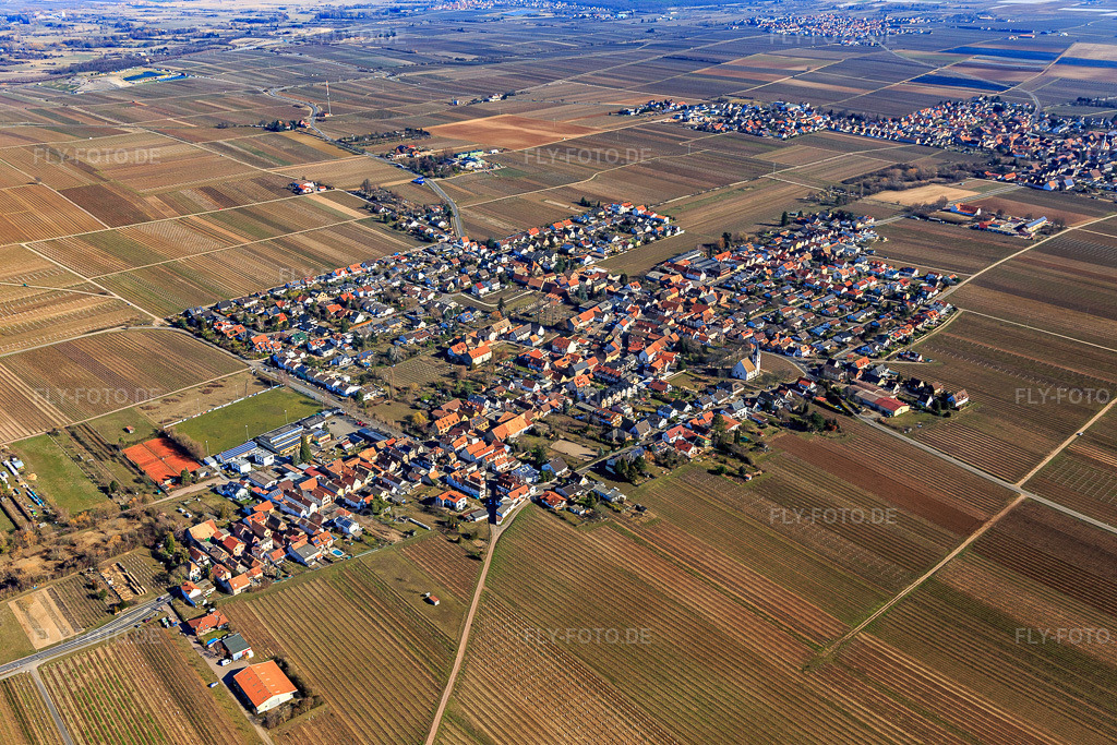 Luftbild: Ortsansicht aus Südwesten in Friedelsheim im Bundesland Rheinland-Pfalz in Deutschland. Foto: IMG_112802.jpg vom 27.02.2019 durch Werner Riehm/FLY-FOTO.de