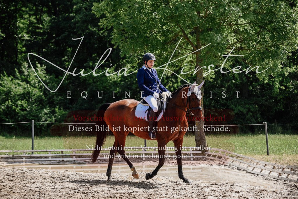 DSC_1211 | Pferde- und Turnierfotografie in Westsachsen. Pferdeportraits, Auftragszeichnungen und intuitive Kunst.