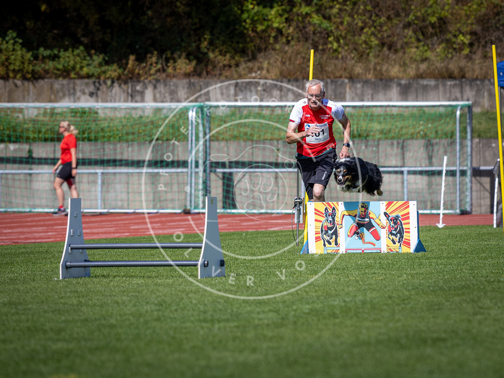 Pfotenfotografie_DV3A7992 | Hundefotografie, Tierfotograf, Pfotenfotografie, Fotoshooting Hund, Hunde Portrait, Hundesport, Hundeportraits, Heideshooting, Hunde, Sportfotograf, Hundefotograf, Turnierhundsport, THS,  - Realisiert mit Pictrs.com