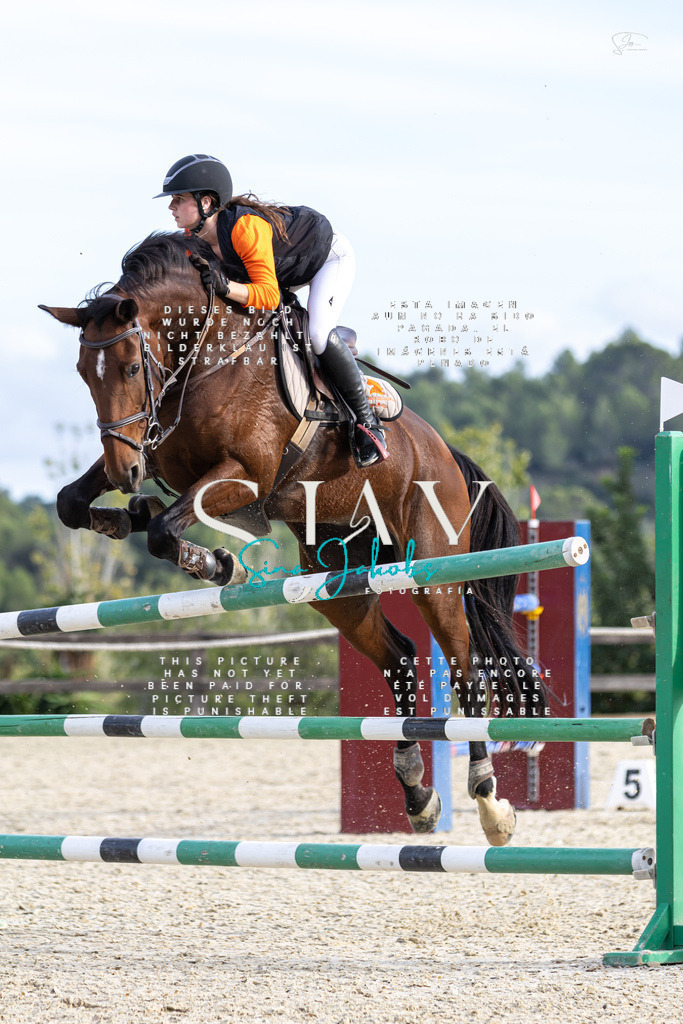 IMG_4797 | s-jay-photography - Realisiert mit Pictrs.com