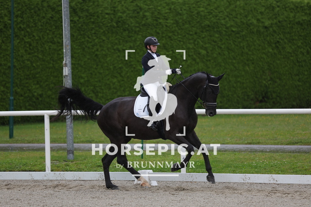 0P6A0696 | Willkommen bei Brunnmayr - Design & Fotografie – Ihrem Spezialisten für Reitturniere und Pferdeveranstaltungen in Oberösterreich, Salzburg und Bayern! Seit über 17 Jahren sind wir leidenschaftlich dabei.