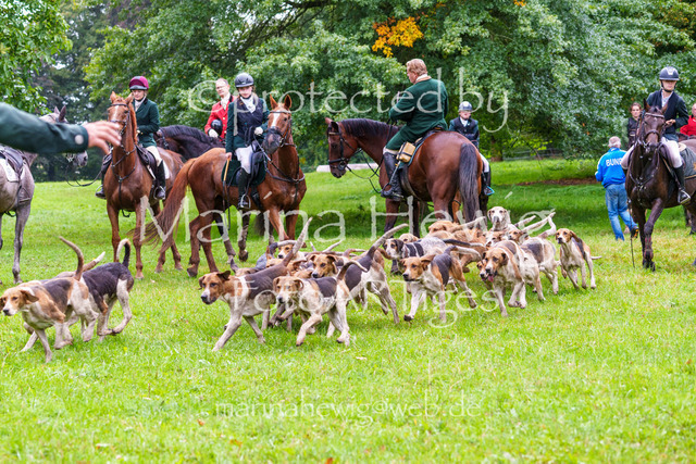 Jagd Perdoel 26 Sony-04199_MarinaHewig | Fotografie, FotoArt, PferdesportArt, Pferdesportfotografie, Landschaftsfotografie, Reisefotografie, Reise, Pferde - Realisiert mit Pictrs.com