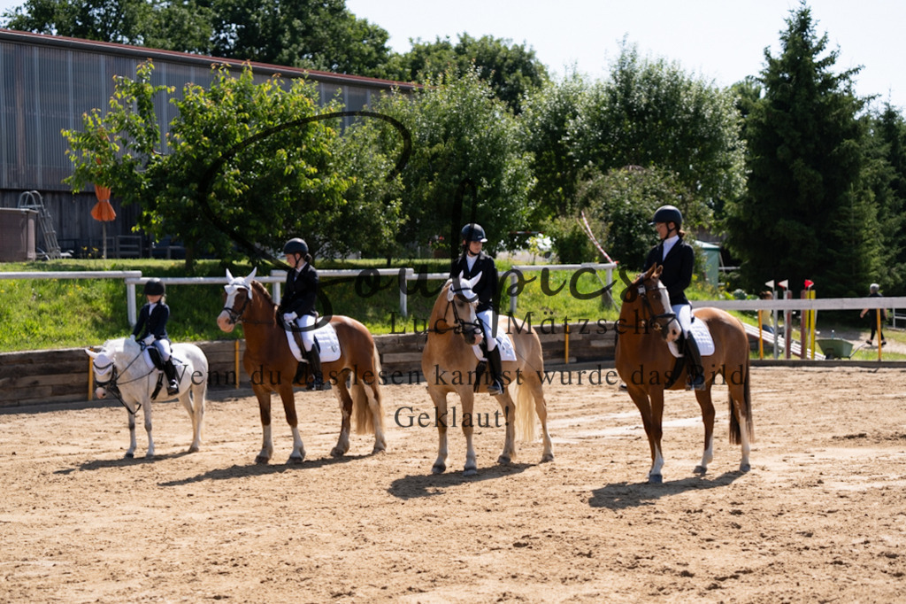 A7V07897 | Pferdefotograf