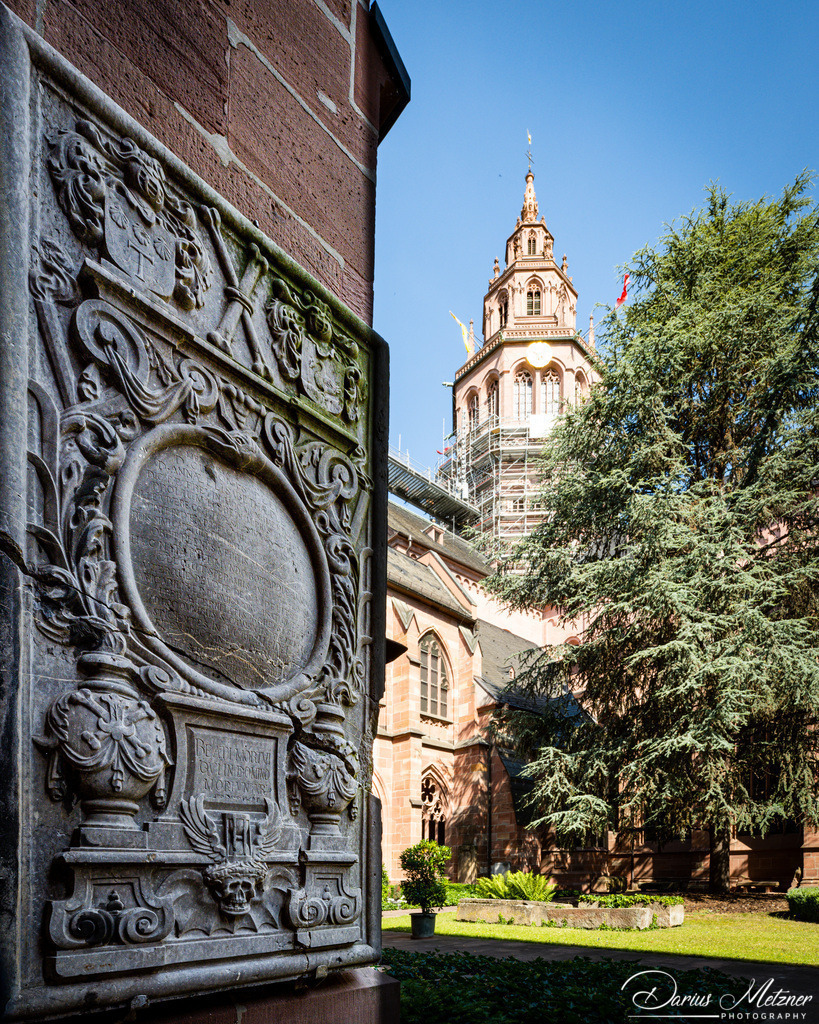 _DSC1564 | Fotografien, Fotos und Bilder aus Mainz, Frankfurt, Wiesbaden und anderen Orten auf der Welt - Fotografiert von Darius Metzner