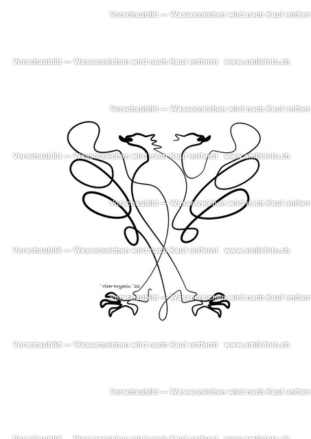 shqiponja bardhe fund | smilefoto.ch