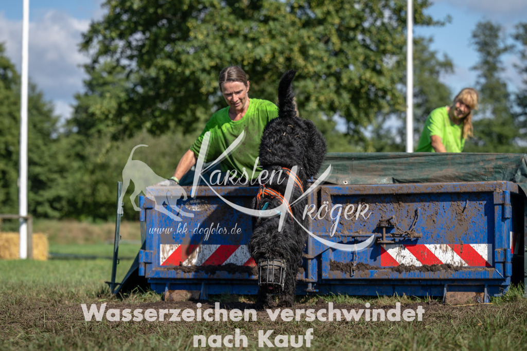 1452_ZZ91507 | kk-dogfotos