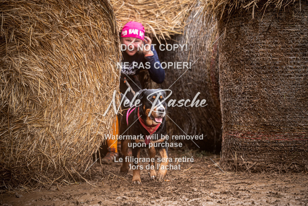 nelerasche_Hunsrück_So09-11_02 | nelerasche