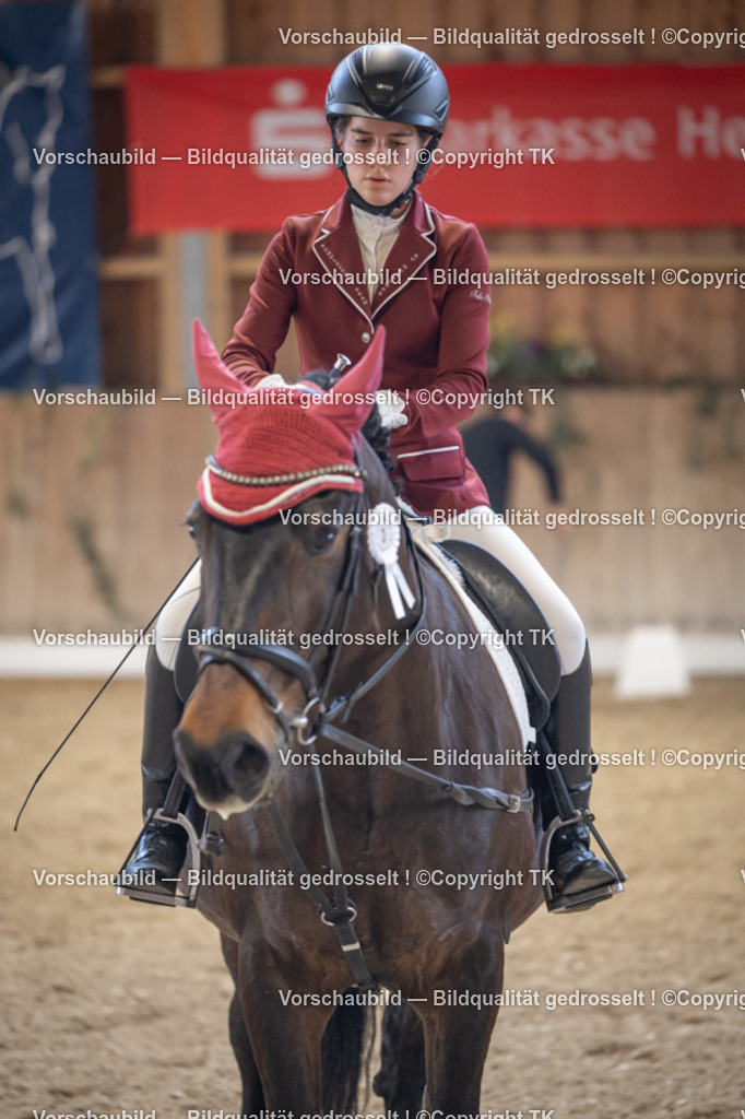 _D5A5595 | Emotionale Pferde- & People-Fotografie rund um Heidelberg, Leimen & Umgebung. Natürliche Fotos von Pferd, Mensch & Familie. Jetzt Termin sichern!