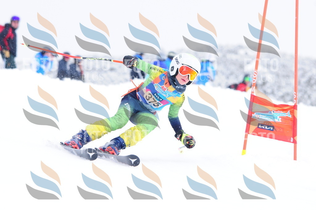 C4001 | holidayphoto