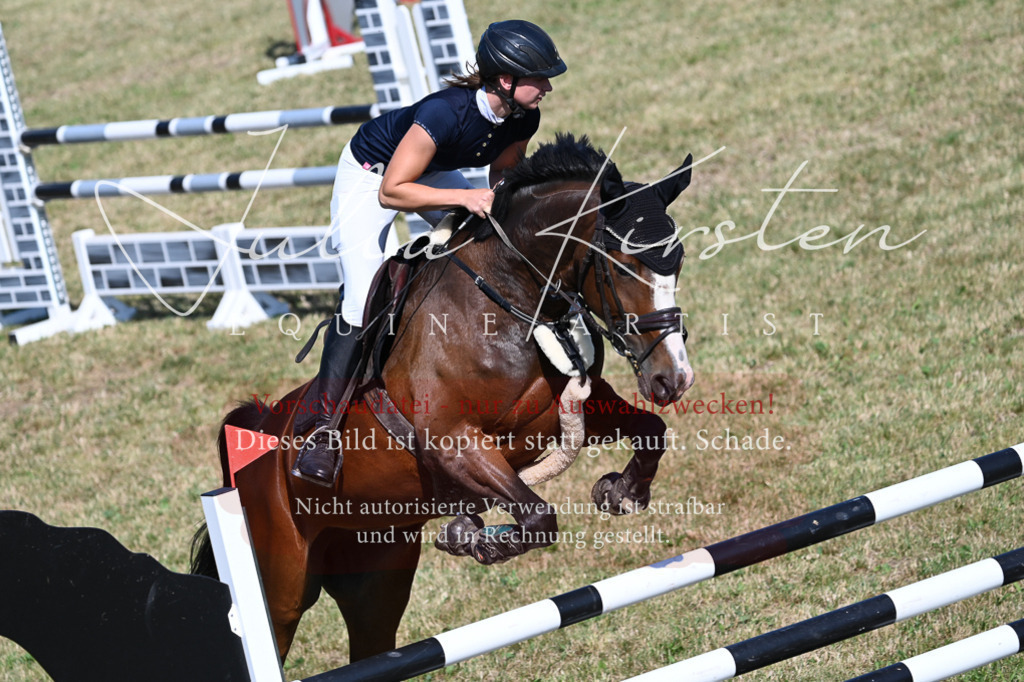 DSC_2024 | Pferde- und Turnierfotografie in Westsachsen. Pferdeportraits, Auftragszeichnungen und intuitive Kunst.