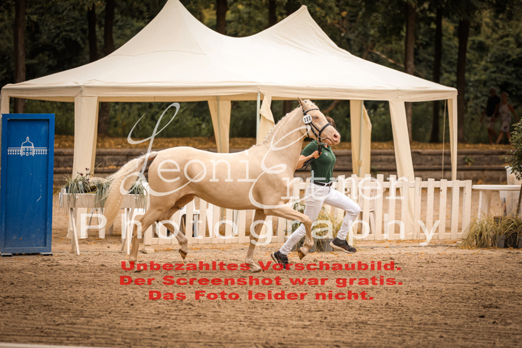 12.So00069 | Leoni Ertmer Photography - Realisiert mit Pictrs.com