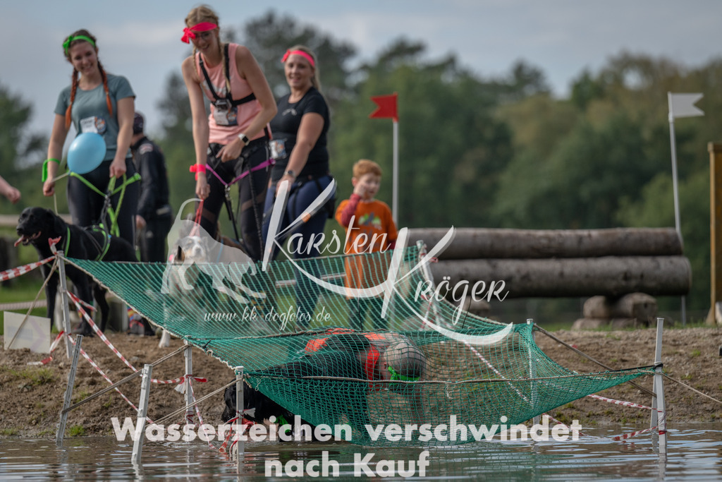 1222_ZZ91616 | kk-dogfotos