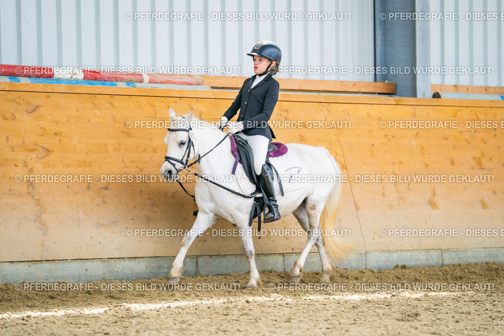 DSC05017 | Pferdegrafie