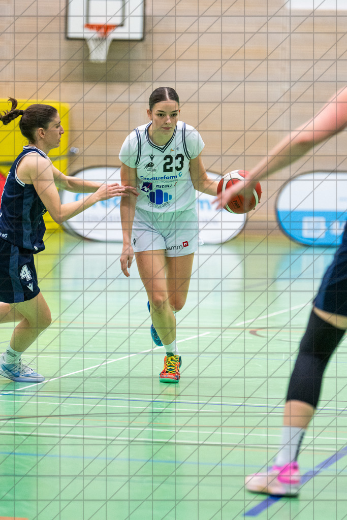 2. DBBL Nord 25/26 | Spieltag 10 | BBC Osnabrück vs. Hürther BC | //  07.12.25: 2. DBBL Nord 25/26 | Spieltag 10 | BBC Osnabrück vs. Hürther BC / Osnabrück / Deutschland  //   CREDIT:www.bullenfotos.de, Martin König, Hörner Weg 40, D-49078 Osnabrück, +4917663732967 // Nutzung und Weitergabe nur zu den vereinbarten Zwecken. Presseanfragen an Ersteller. Alle Rechte beim Ersteller. Honorierung nach MFM. - Realisiert mit Pictrs.com