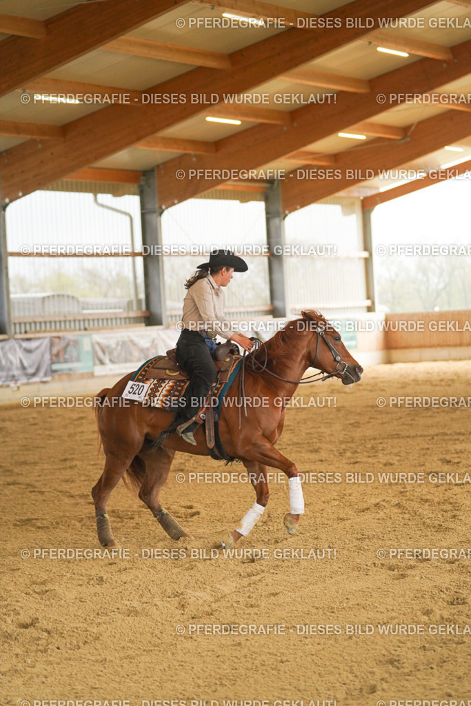 DSC00134 | Pferdegrafie