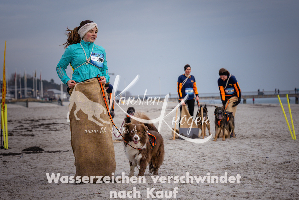 1256_ZZ97044 | kk-dogfotos