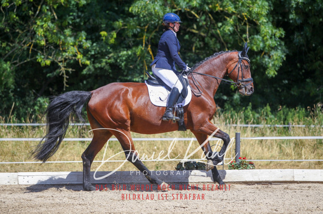 DKP46508 | Turniersportfotografie; Pferdefotografie; Dressurfotografie