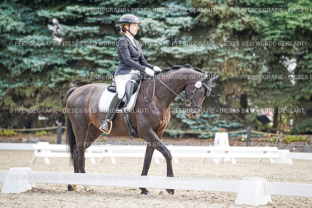 DSC00550 | Pferdegrafie