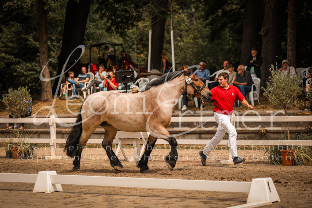 3.Sa00070 | Leoni Ertmer Photography - Realisiert mit Pictrs.com