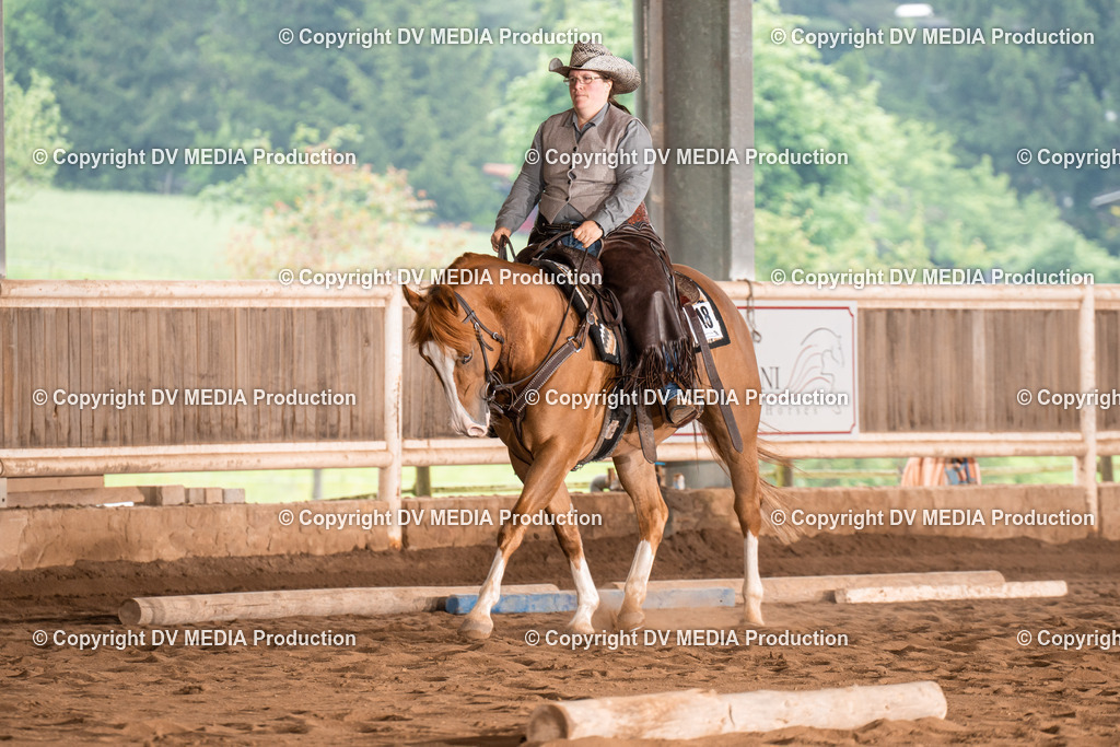 Erbach Tag 2-520 | dv-media-shop - Realisiert mit Pictrs.com