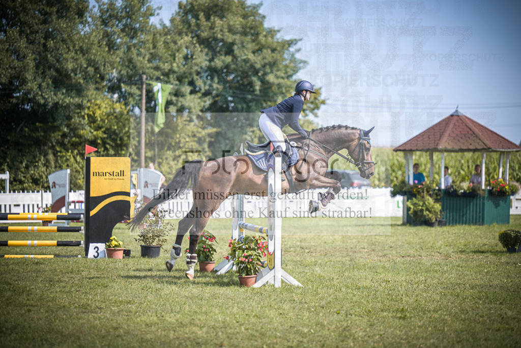 DOS_3089 | Entdecke hochwertige Reitturnierfotos von Foto Oger. Professionell, emotional und authentisch – jetzt Lieblingsmomente im Shop bestellen.Deutschlandweite Turnierfotografie. - Realisiert mit Pictrs.com