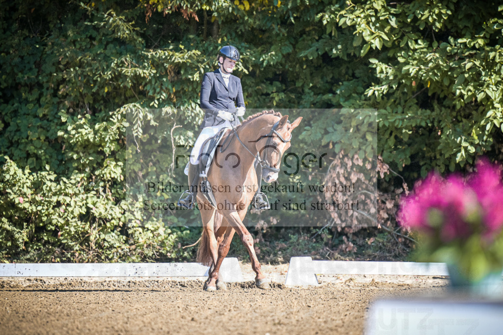 DOS_1985 | Entdecke hochwertige Reitturnierfotos von Foto Oger. Professionell, emotional und authentisch – jetzt Lieblingsmomente im Shop bestellen.Deutschlandweite Turnierfotografie. - Realisiert mit Pictrs.com
