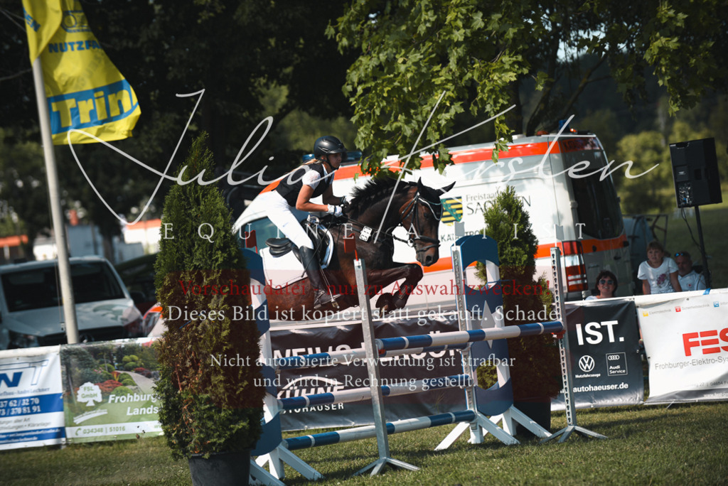 DSC_6963 | Pferde- und Turnierfotografie in Westsachsen. Pferdeportraits, Auftragszeichnungen und intuitive Kunst.