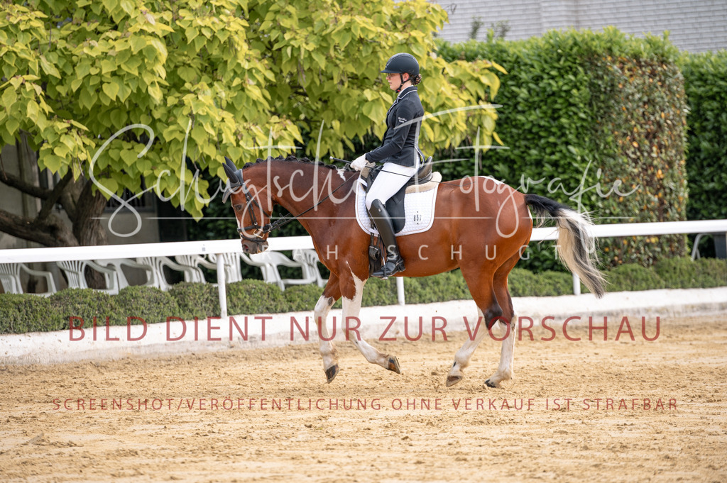 Schugtsche-Aluta25-40.DressurprfA_-238 | Schugtsche Fotografie - Realisiert mit Pictrs.com