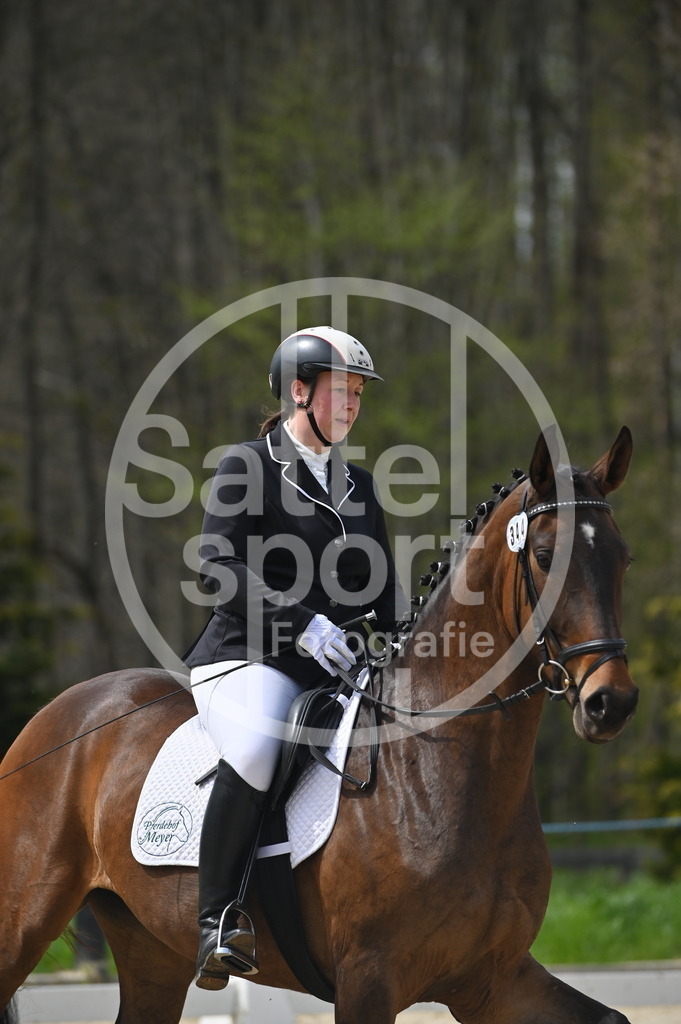 DSC_3342 | sattelsport - Realisiert mit Pictrs.com