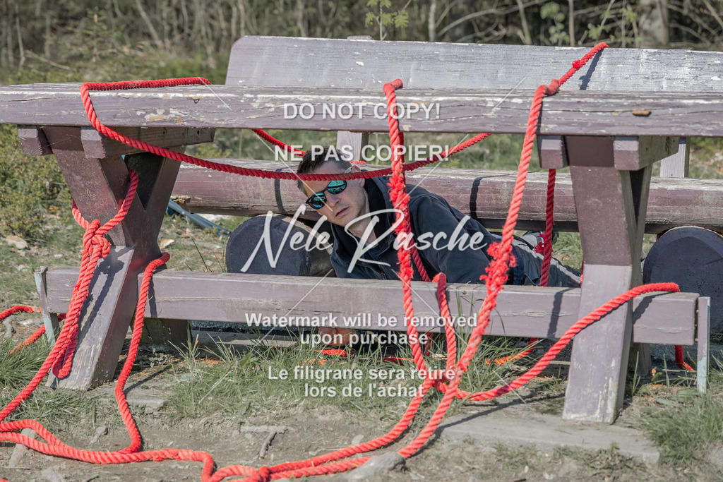 NR__0006 | nelerasche