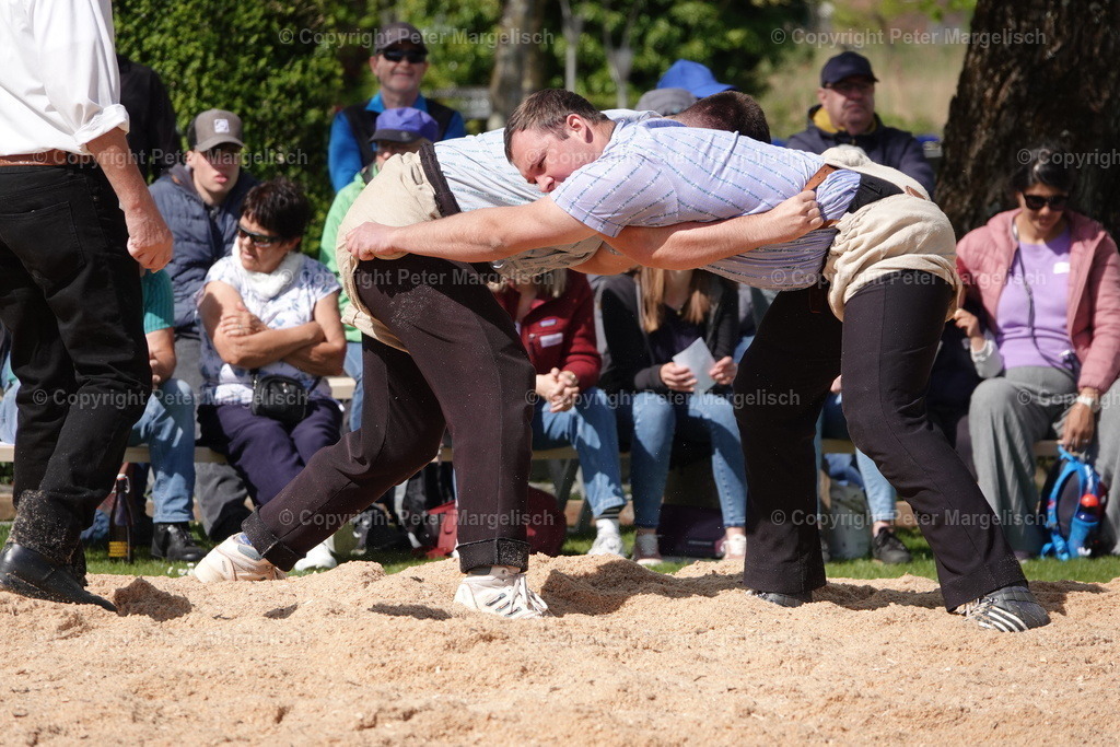 DSC00525 | Schwingen - Realisiert mit Pictrs.com