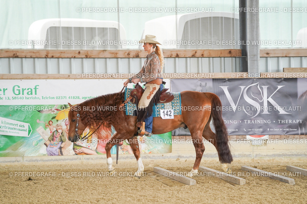 DSC03174 | Pferdegrafie