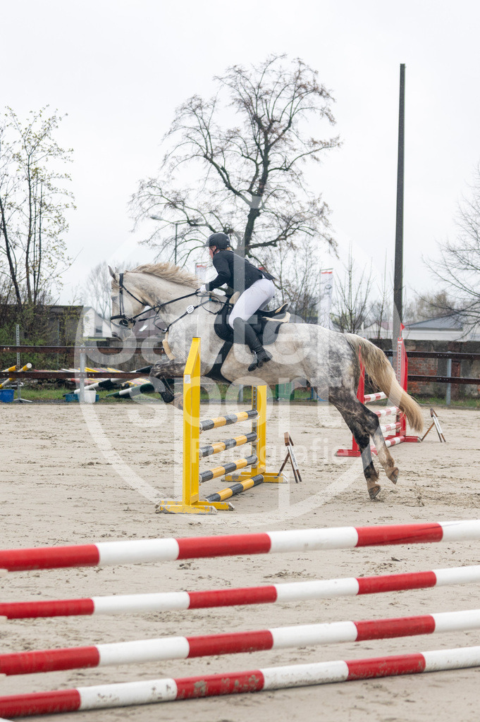 DSC_8334 | sattelsport - Realisiert mit Pictrs.com