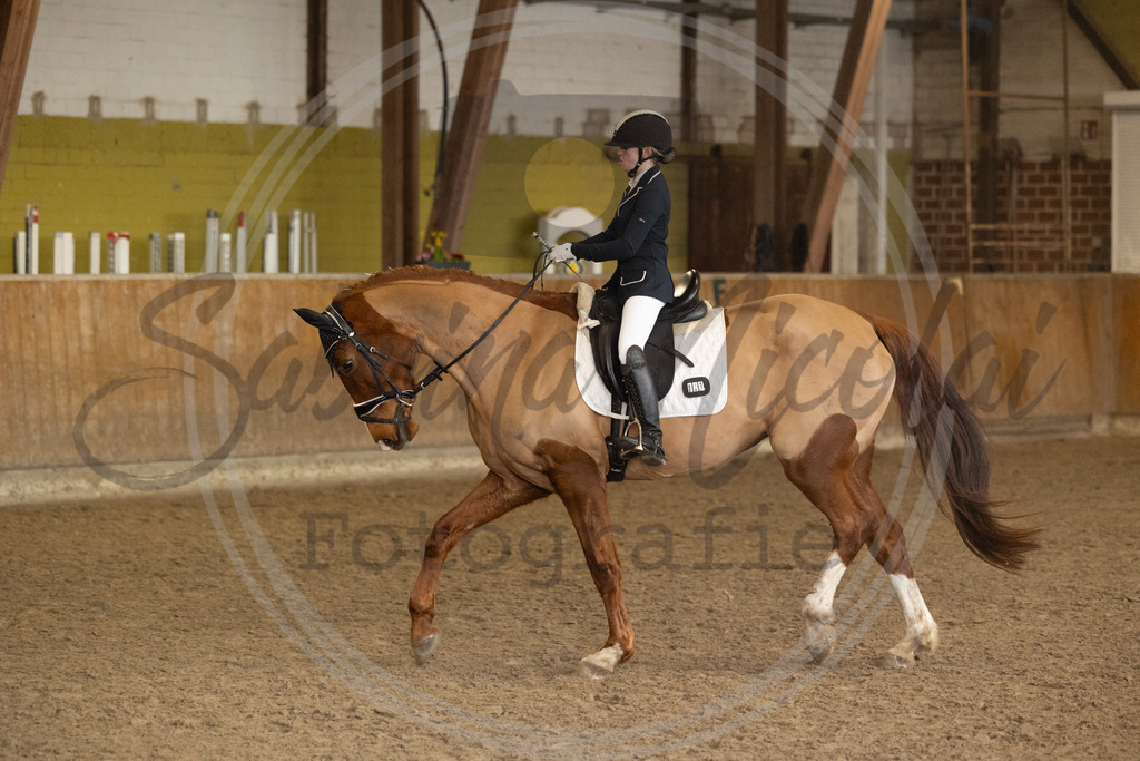 994A8876 | sabrinanicolaifotografie - Realisiert mit Pictrs.com