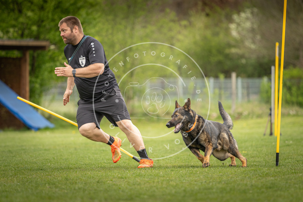 Pfotenfotografie_DV3A9901 | Hundefotografie, Tierfotograf, Pfotenfotografie, Fotoshooting Hund, Hunde Portrait, Hundesport, Hundeportraits, Heideshooting, Hunde, Sportfotograf, Hundefotograf, Turnierhundsport, THS,  - Realisiert mit Pictrs.com